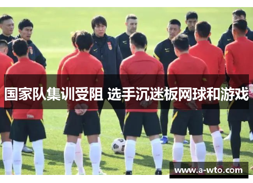 国家队集训受阻 选手沉迷板网球和游戏